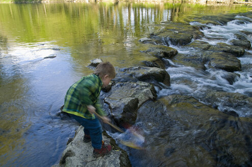 Deutschland, Baden-Württemberg, Junge (4-5) beim Spielen mit dem Tauchnetz am Fluss - SMF00460