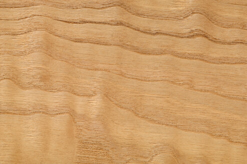 Wood surface, Japanese ash (Fraxinus mandshurica) full frame - CRF01798