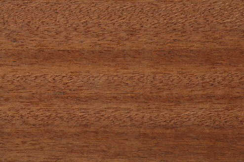 Wood surface, Utile wood (Entandrophragma utile) full frame - CRF01796