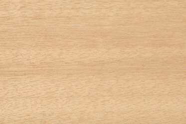 Holzoberfläche, Weißer Meranti (Shorea agami Ashton) Vollrahmen - CRF01763