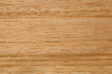 Holzoberfläche, Albizzia Holz (Albizzia ferruginea) Vollrahmen - CRF01735