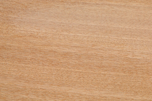Wood surface, Aningeria Wood (Aningeria robusta) full frame - CRF01701
