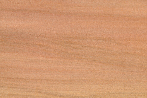 Holzoberfläche, Rotes Eukalyptusholz (Liquidambar styraciflua, Hamamelidaceae) Vollrahmen - CRF01699