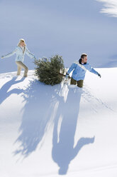 Italy, South Tyrol, Seiseralm, Couple carrying Christmas tree in snow - WESTF11445