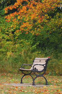 Kanada, Ontario, Verlassene Parkbank, Herbstlaub - RUEF00228