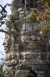 Kambodscha, Siem Reap, Angkor, Ta Prohm-Tempel - PSF00296