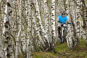 Italien, Comer See, Mountainbiker fahren im Wald - FFF01069