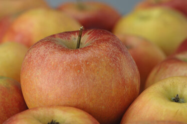 Apples (Malus domestica), close up - ASF03916