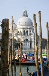 Italy, Venice, Gondolas parked along Grand Canal next to Santa Maria della Salute - PSF00353