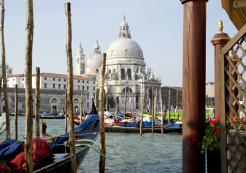 Italy, Venice, Gondolas parked along Grand Canal next to Santa Maria della Salute - PSF00352