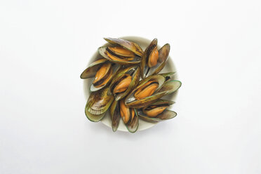 Green mussels (Perna canaliculus) on plate, elevated view - GWF01012