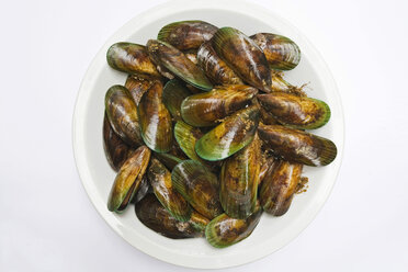 Raw Green mussels (Perna canaliculus) on plate, elevated view - GWF01010