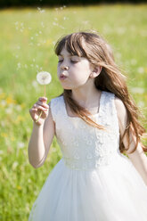 Germany, Bavaria, Girl (8-9) blowing dandelion, close-up - MAEF01801
