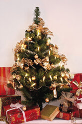 Presents under Christmas tree - 11289CS-U