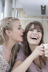 Germany, Cologne, Young women in cafe, having fun - WESTF12439