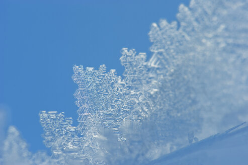 Österreich, Salzburger Land, Schneekristall gegen blauen Himmel - HHF03034