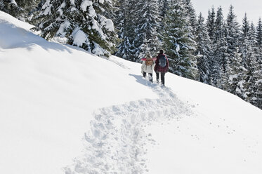 Österreich, Salzburger Land, Wanderer in verschneiter Landschaft - HHF03045