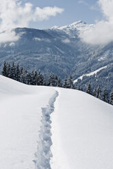 Österreich, Salzburger Land, Winterlandschaft - HHF03037