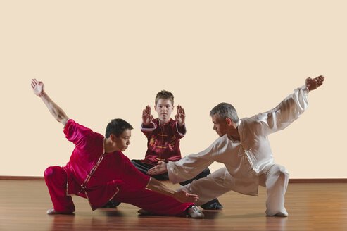 Kung Fu, Changquan, Pubu cuanzhang, Mabu shuang tuizhang, Stil der langen Faust, Personen, die Kampfsportarten ausüben - WESTF12551