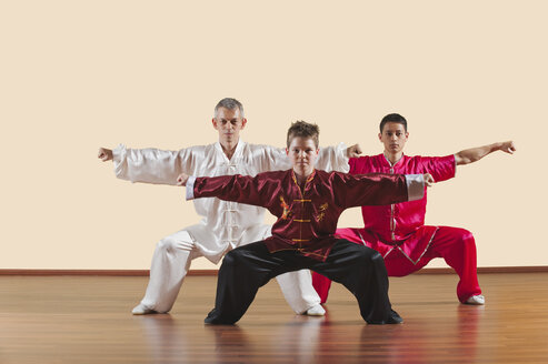 Kung Fu, Changquan, Mabu shuang chongquan, Stil der langen Faust, Personen, die Kampfsportarten ausüben - WESTF12549
