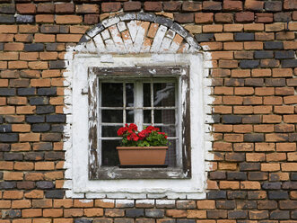 Österreich, Oberösterreich, Fenster mit Blumenkasten - WWF01055