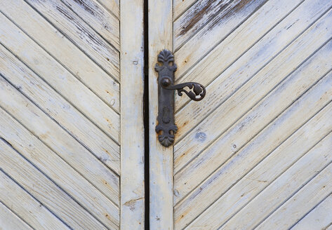 Austria, Wooden door, full frame - WWF01050