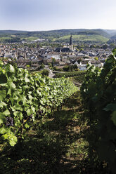 Deutschland, Rheinland-Pfalz, Bad Neuenahr Ahrweiler, Weinberge - 11492CS-U