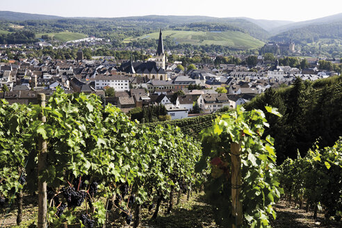 Deutschland, Rheinland-Pfalz, Bad Neuenahr Ahrweiler, Weinberge - 11491CS-U