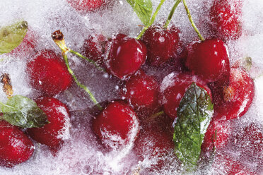 Frozen cherries, close-up - 11460CS-U