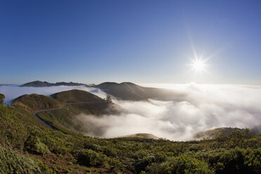 USA, Kalifornien, nebelverhangene Landschaft - FOF01521