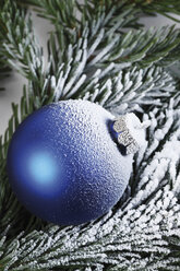 Weihnachtsdekoration, Blaue Christbaumkugel auf Tannenzweig - 11589CS-U