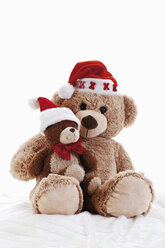 Teddybären mit Weihnachtsmützen - 11562CS-U