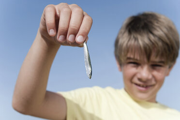Junge (8-9) hält kleinen Fisch, Nahaufnahme - WESTF12615