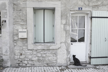 Frankreich, Provence, Katze sitzt vor der Haustür - THF01071