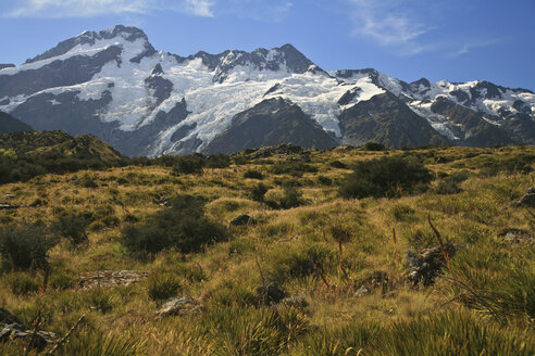 Neuseeland, Grasland, schneebedeckte Berge im Hintergrund - AC00034