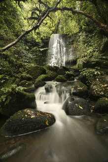 Neuseeland, Wasserfall und Gebirgsbach mit moosbewachsenen Felsblöcken - AC00030