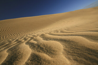 New Zealand, Desert scenery, dunes - AC00022