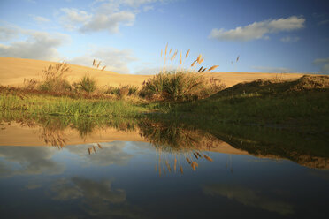 Neuseeland, Spiegelungen in einem See, Sanddünen im Hintergrund - AC00021