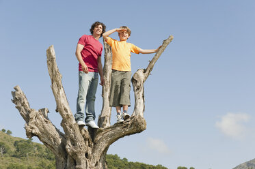 Spanien, Mallorca, Vater und Sohn (8-9) stehen auf einem Baum - WESTF12902