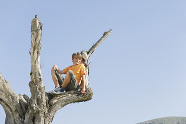 Spanien, Mallorca, Junge (8-9) im Baum sitzend - WESTF12899
