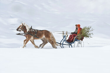 Österreich, Salzburger Land, Pärchen transportiert Weihnachtsbaum auf Schlitten, lächelnd, Seitenansicht - HHF03022