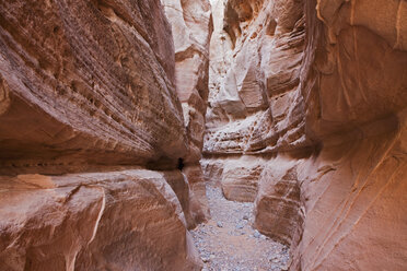 USA, Nevada, White Dome Slot Canyon, Valley of Fire State Park - FOF01587
