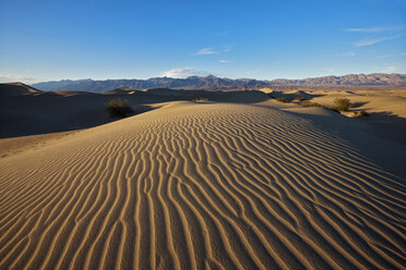 USA, California, Death Valley, Sand dunes - FOF01569