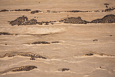 USA, Utah, North Coyote Buttes, Kleine schwarze Steine auf großem Sandstein - FOF01628
