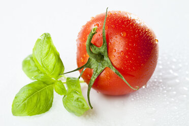 Tomato and basil leaves, close-up - MAEF01826