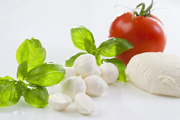 Mozzarella cheese and basil leaves - MAEF01822