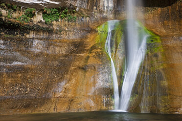 USA, Utah, Grand Staircase-Escalante National Monument, Calf Creek Falls - FOF01674