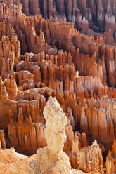 USA, Utah, Bryce-Canyon-Nationalpark - FOF01653