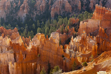 USA, Utah, Bryce Canyon National Park, Sonnenaufgang - FOF01652