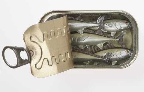 Künstliche Sardinen in offener Blechdose, Ansicht von oben, lizenzfreies Stockfoto